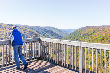 Young man in blue jacket looking at canaan valley mountains in Blackwater falls state park in West Virginia during colorful autumn fall season with yellow foliage on trees, rock cliff at Lindy Point