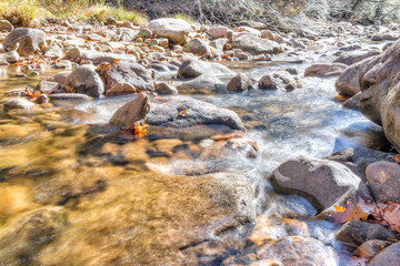 Closeup of shallow rock stream with running water in autumn with red orange leaf foliage on stones, shine