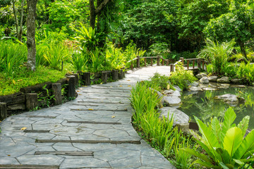 Beautiful botanical garden trees and concrete stone walkway with a wood bridge in the park at bright day time. 