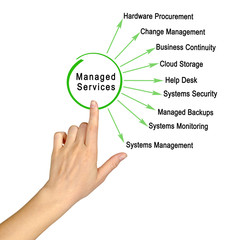 Wall Mural - it managed services