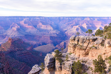 Wall Mural - View Point Maricopa Point at Grand Canyon National Park, Arizona, USA