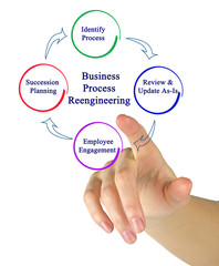 Canvas Print - Business Process Reengineering Cycle