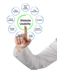 Wall Mural - Website Usability
