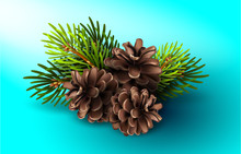 Stock Illustration Of Christmas Tree Branches With Pine Cones