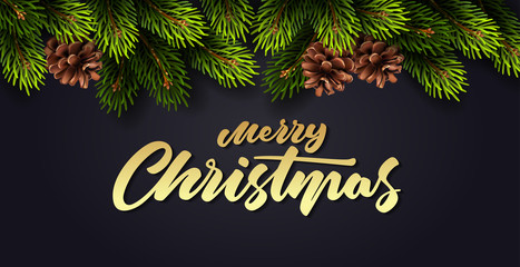 Wall Mural - Christmas decoration with fir branches and cones on dark background