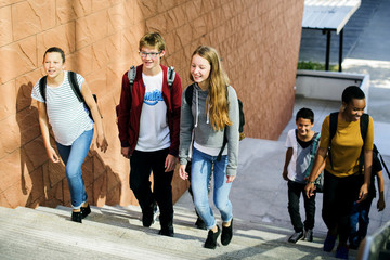 Wall Mural - diverse group of students walking upstairs