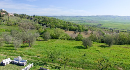 Wall Mural - Tuscany countryside aerial view