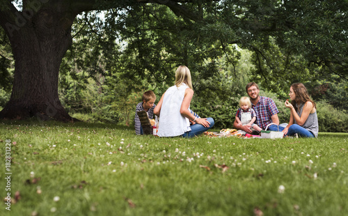 Fotomural Family Generations Picnic Togetherness Relaxation Concept