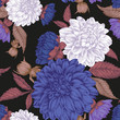 Vector floral seamless pattern with hand drawn dahlias