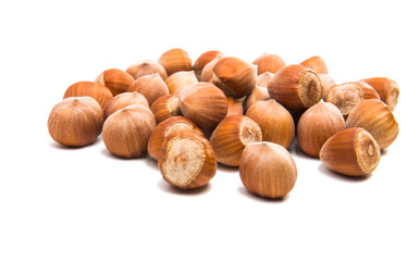 Sticker - hazelnut nuts isolated