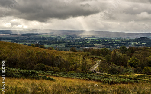 Fotomural landscape in the scotish lowlands