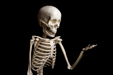 Skeleton shows something on black background