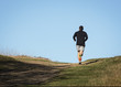 © CharnwoodPhoto - Early morning jogger at country park