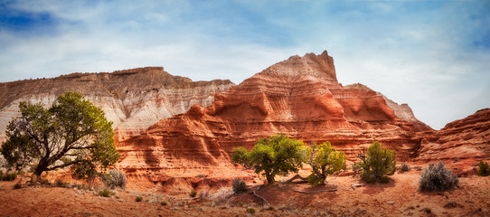 Wall Mural - Kodachrome Basin State Park, Utah - colorful desert beauty in spring.