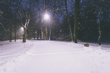 Winter park at night. Snow in a frozen dark park with snowflakes. Snowfall at night. Snow storm