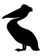 silhouette of pelican