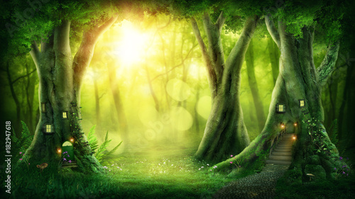 Obraz na płótnie Mroczny magiczny las