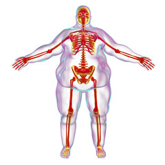 Wall Mural - Obesity problem conceptual image, 3D illustration showing normal skeleton inside obese male body