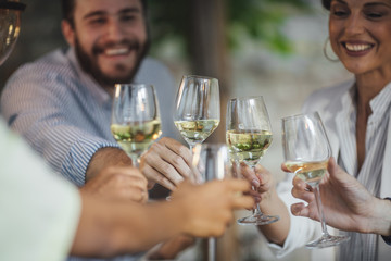 Wall Mural - People Toasting at Party