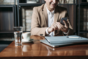 Wall Mural - Businessman Using Smartphone