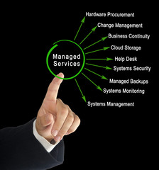 Wall Mural - it managed services