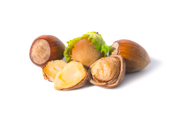 Poster - Pile of hazel nuts