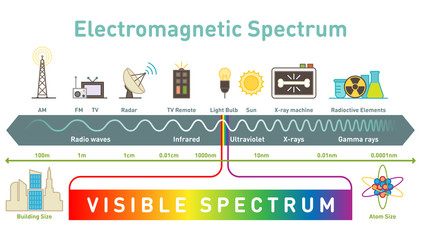 Electromagnetic spectrum diagram vector illustration