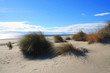Plage de sable fin en méditerranée, sud de France