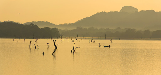 Poster - Fisherman at kandalama lake, dambulla, sri lanka