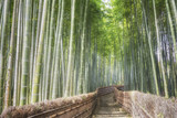Fototapeta Do pokoju - Bamboo forest, Arashiyama, Kyoto, Japan