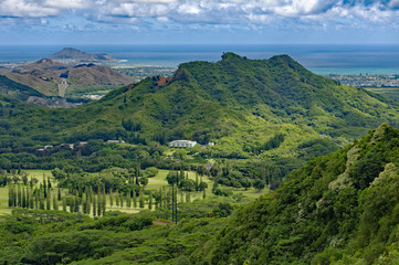 Wall Mural - View from the Nuuani Pali Overlook of the Kaneohe area in the southeast of Oahu, Hawaii, U.S.A.