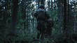 © Gorodenkoff - Fully Equipped Soldier's Group Moves Further in the Dense Forest. They're Deployed on the Reconnaisance Military Mission at Night in a Dark Ambient. Low Angle Footage.