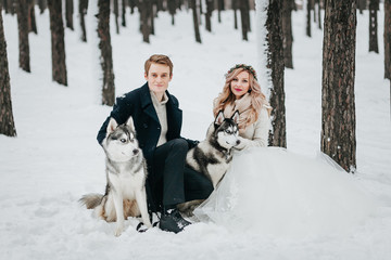 Wall Mural - Cheerful couple are playing with siberian husky in snowy forest. Winter wedding Artwork