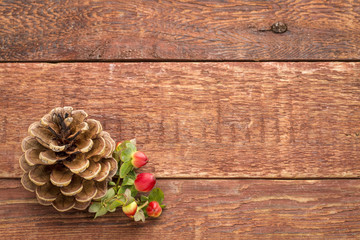 Wall Mural - Pine cone against rustic wood