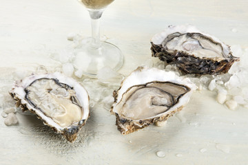  Closeup photo of oysters with wine and copy space