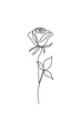 rose line icon