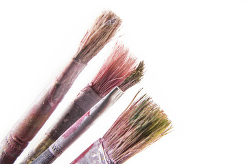 Old and used paint brushes  on white background