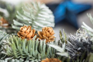 winter, holidays, environment concept. two small pinecones like two buds of dried roses, they have wide leaves that covered each other. they are hidden among frozen branches of conifer