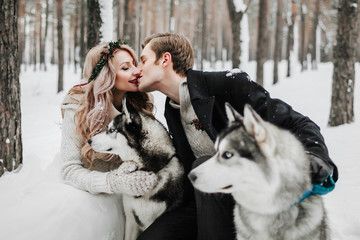 Wall Mural - Cheerful newlyweds are kissing on background of husky. Winter wedding. Artwork