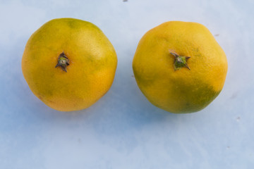 Two juice oranges isolated on green background. Mandarin isolated on green background . Top view of the mandarine