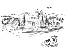 Hand Drawn Illustration With Farm And Cow, Field. Sketh. Vector Eps 8.