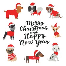 Greeting Card. Merry Christmas And Happy New Year. Dogs In Costumes Santa Claus