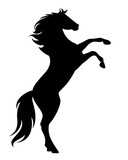 Fototapeta Konie - rearing up black mustang  - standing horse side view vector silhouette