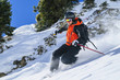 dynamisch skifahren mit Telemark-Technik