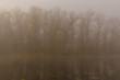 © ihorbondarenko - Fog above the surface of the water
