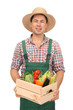 © Africa Studio - Agronomist with healthy vegetables on white background