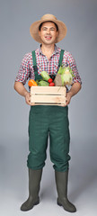 Wall Mural - Agronomist with vegetables on grey background