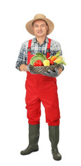 Sticker - Agronomist with healthy vegetables on white background