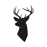 Fototapeta Dinusie - silhouette head deer