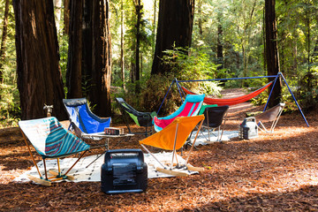 Wall Mural - Folding camping chairs and hammocks decorate a campsite in a redwood forest